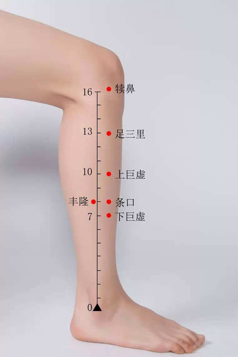 艾灸人必懂养生8句口诀（艾灸新手必备）- e颗艾艾灸养生