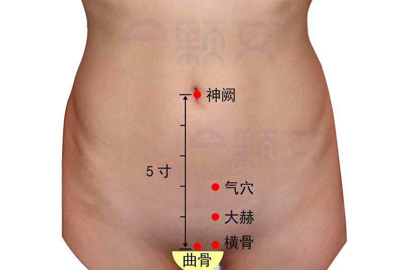 艾灸这个地方可以灸祛百病 - e颗艾艾灸养生