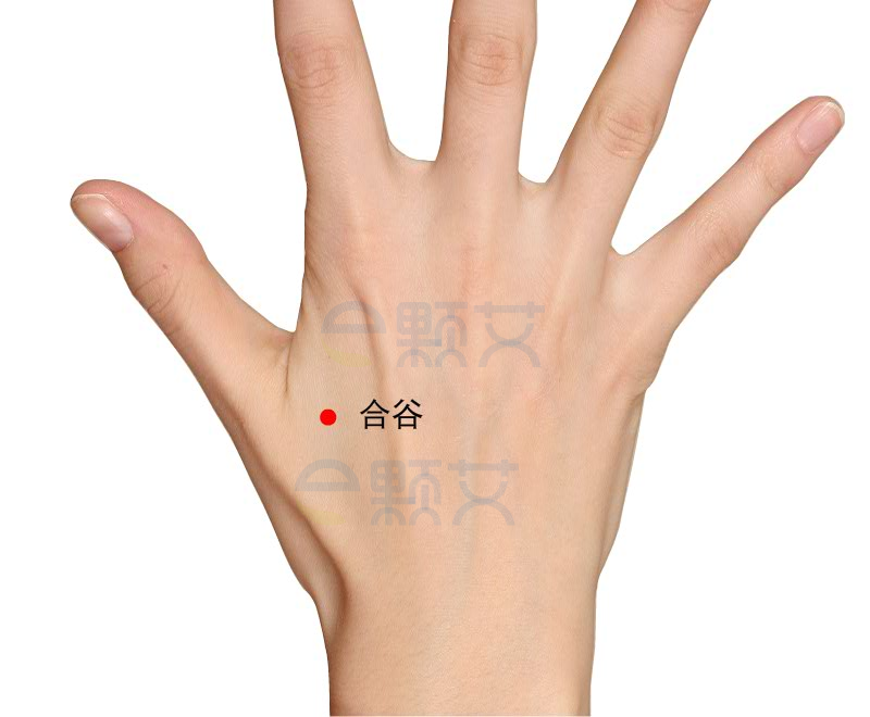 介绍四个艾灸治疗流鼻涕的穴位艾灸理疗法 - e颗艾艾灸养生