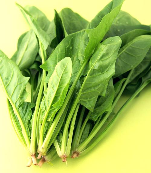 有人说 让身体感受春天最好的方法 就是吃一份春菜-e颗艾养生