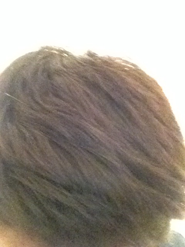 头发的好坏跟什么有关